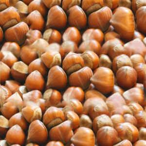 Giresun Kabuklu Fındık - 1 Kg, giresun kabuklu fındık fiyat, giresun toptan fındık,