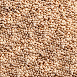 Giresun Pikola (Küçük) Kavrulmuş İç Fındık - 500 Gr., pikola iç fındık, pikola kavrulmuş fındık fiyat,